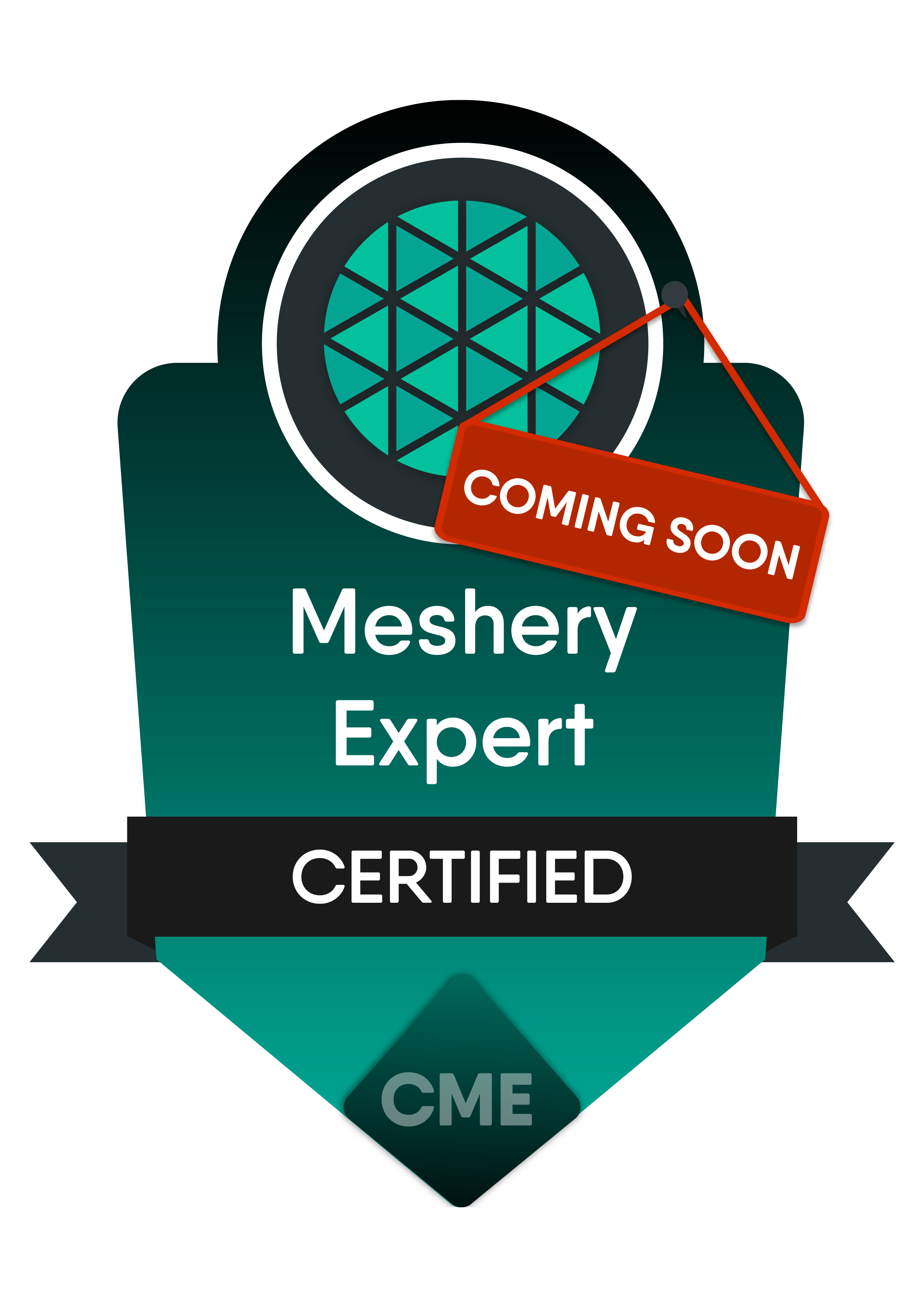 Certified Meshery Expert badge